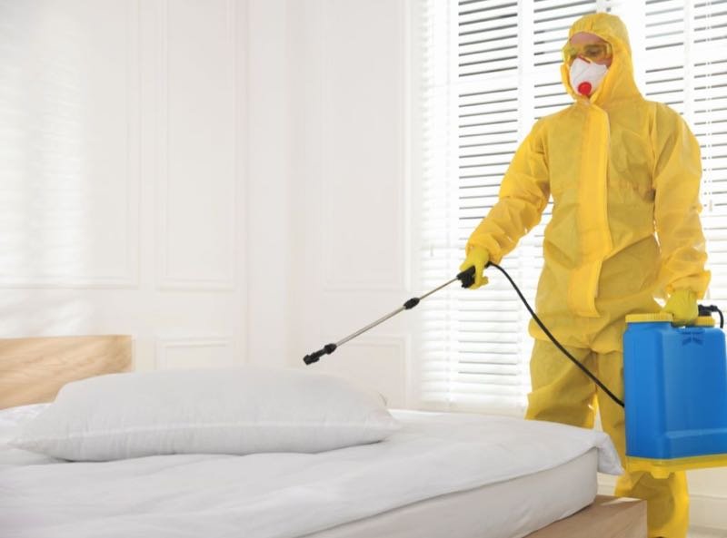 Bettwanzen-Behandlung