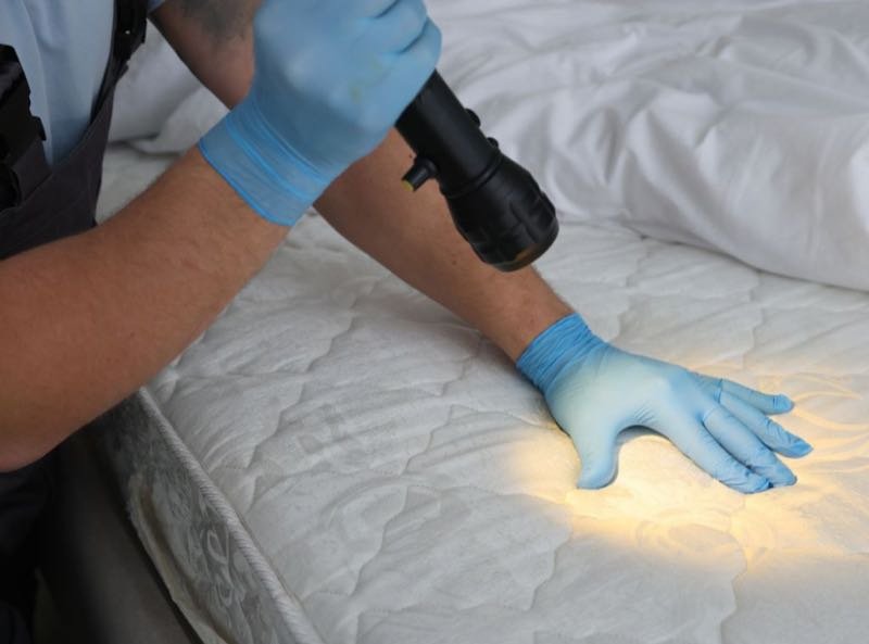 Kammerjäger bei der Arbeit