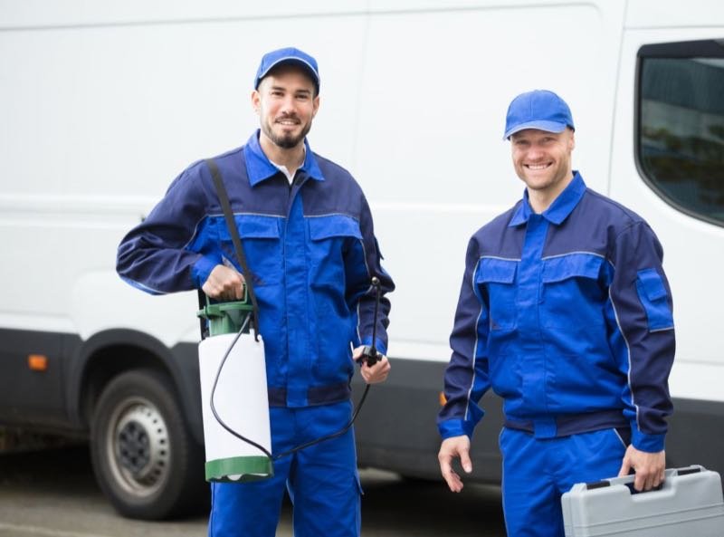 Kammerjäger Experte - Schnelle Hilfe bei Schädlingsproblemen